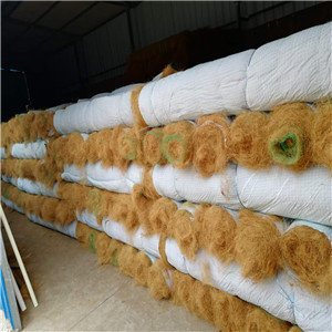 精河县植物纤维毯植生毯厂家价格--远景厂家欢迎您考察