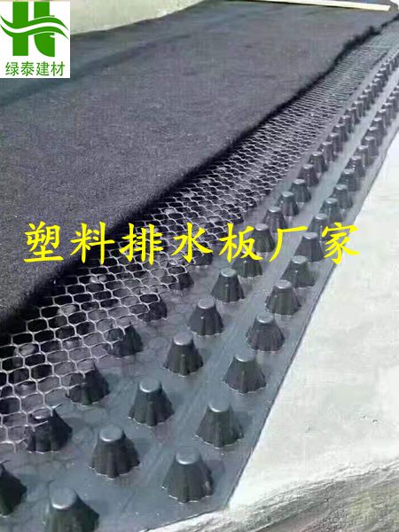 秦皇岛精心打造屋顶排水板源头厂家