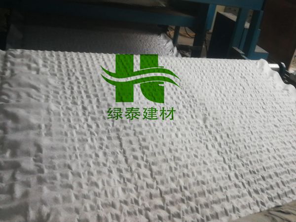 上海车库/屋顶/种植/绿化20厚塑料排水板批发