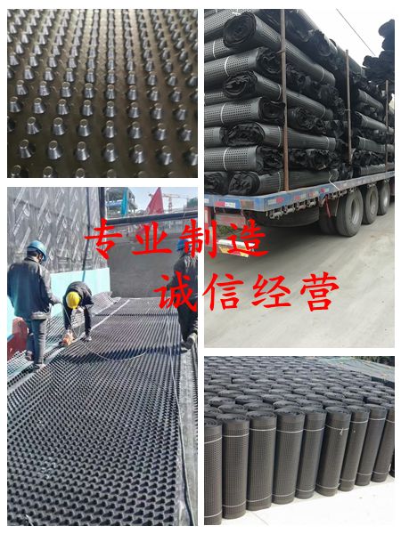 荆州价格透明20高排水板生产厂家