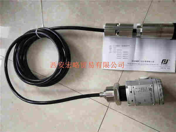 E+H投入式壓力變送器DB101