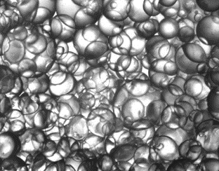 在線錄影顯微鏡乳液液滴檢測系統