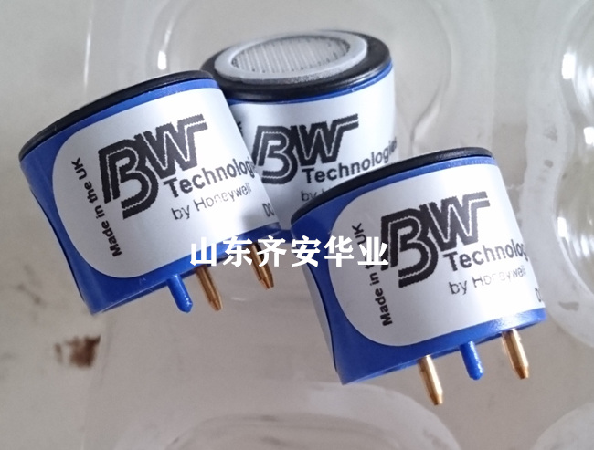 BW氧氣檢測儀器化工廠用傳感器更換配件供應(yīng)