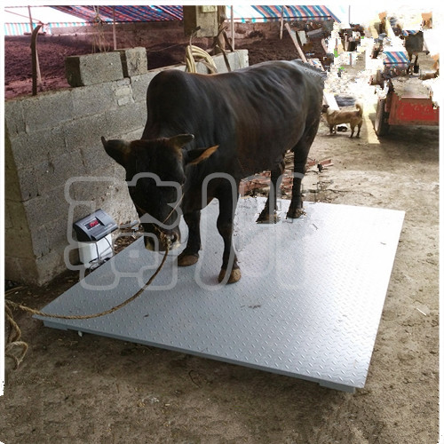 牲畜称重电子秤养殖场电子地磅秤自带围栏电子磅秤