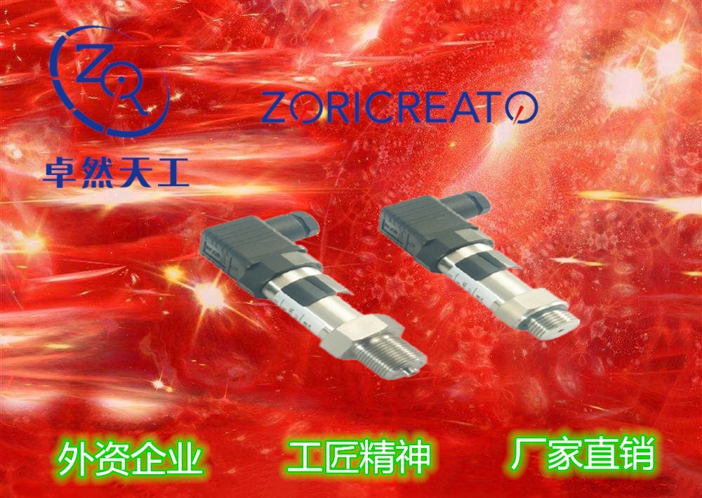 PT10SR-230 系列壓力變送器