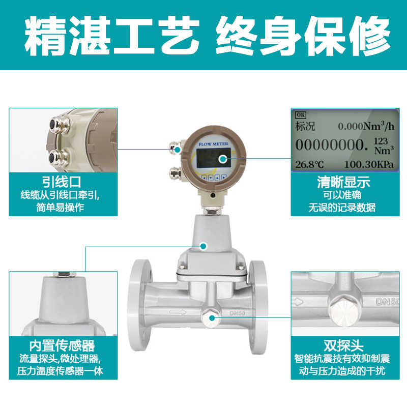 廠家直銷智能旋進漩渦流量計 天然氣沼氣計量溫壓補償防爆一體式