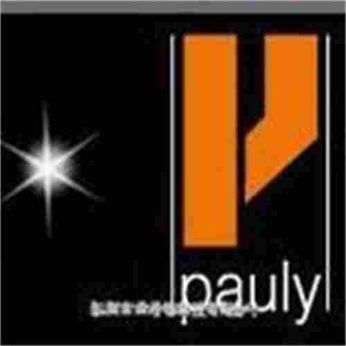 原装PAULY光栅