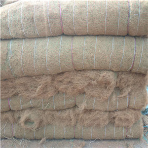 建邺区植物纤维毯植生毯厂家价格--远景厂家欢迎您考察