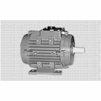 ELEKTRIM电机EM 63 B4