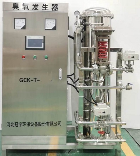河南臭氧消毒机 GCK-1000g臭氧消毒厂家直销