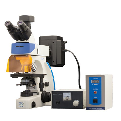 澳浦光电 正置荧光显微镜UY203i 价格