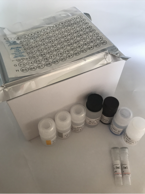 鸡白介素9(IL 9)ELISA kit