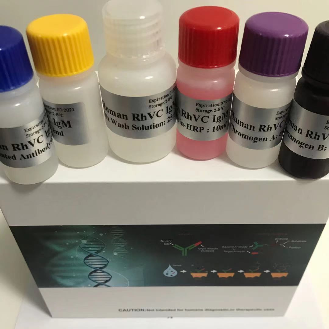 小鼠肌酸激酶(CK)elisa试剂盒