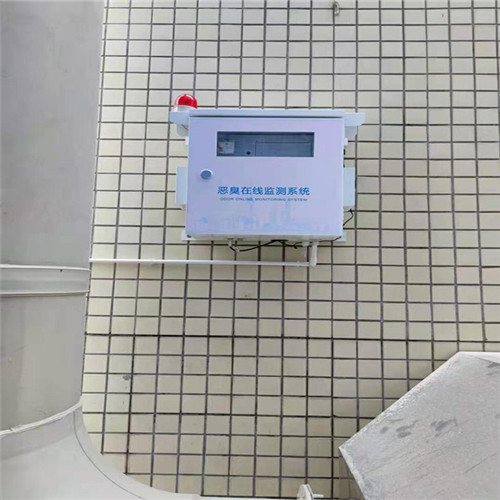 氨气在线恶臭分析仪  恶臭污染自动监测设备