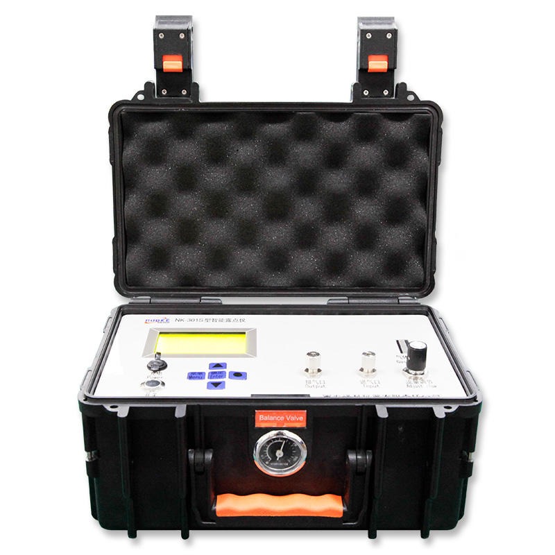 含氧分析仪 含氧检测仪 氧浓度分析仪 诺科仪器NK-100系列