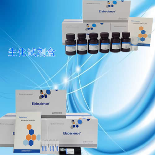 磷脂酶C(PLC)測(cè)試盒