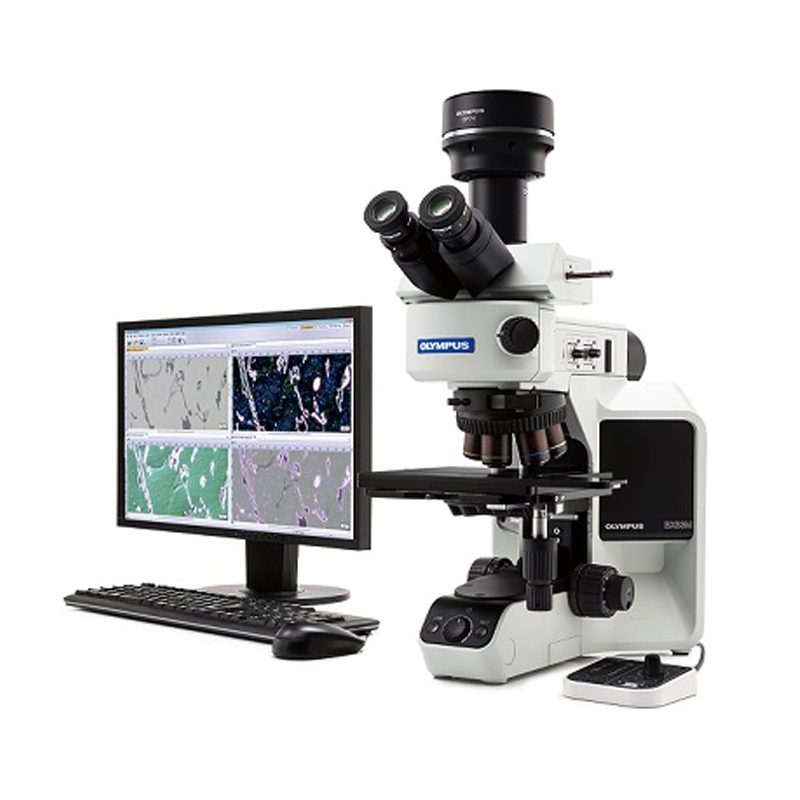 奥林巴斯BX51模块化正立显微镜多功能数字成像