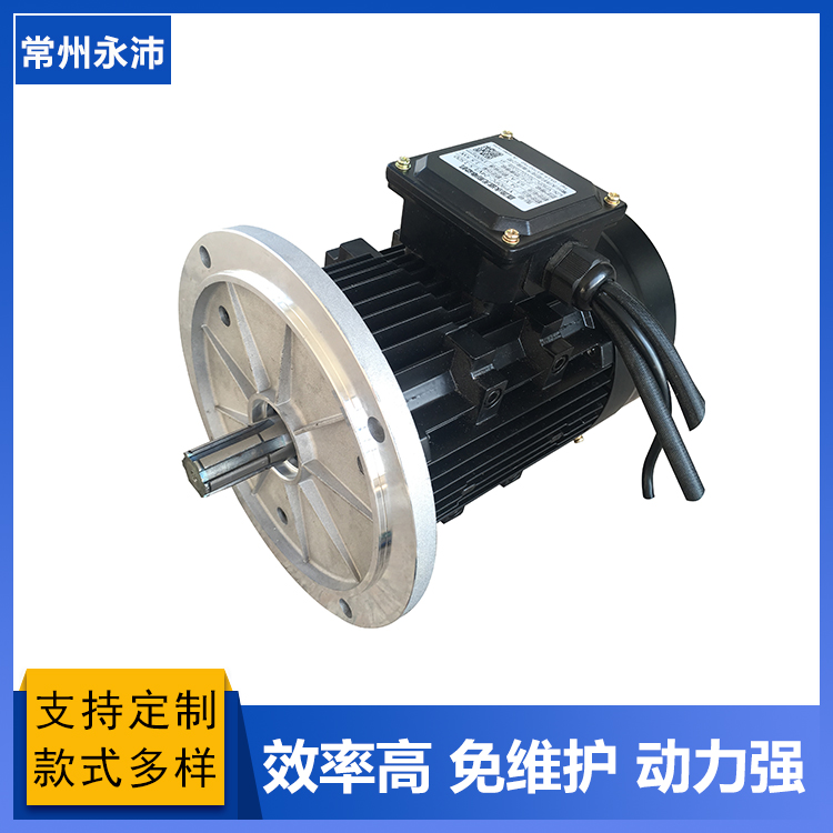 供應(yīng)直流永磁無刷電機(jī) 電動平車液壓泵計量泵電機(jī)