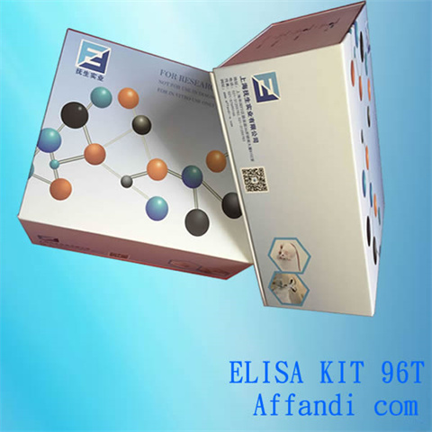 大鼠血栓素A2(TXA2)ELISA测定试剂盒