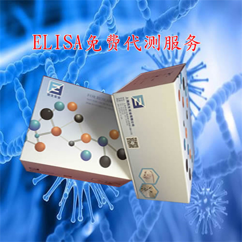 大鼠血浆α颗粒膜蛋白(GMP-140)ELISA定量试剂盒