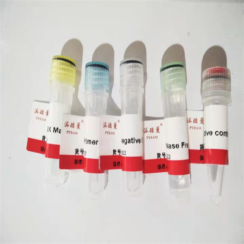 寨卡病毒登革病毒和基孔肯雅病毒檢測熒光定量PCR檢測試劑盒