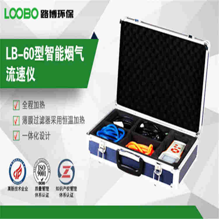 路博烟气流速流量仪 LB-60型 