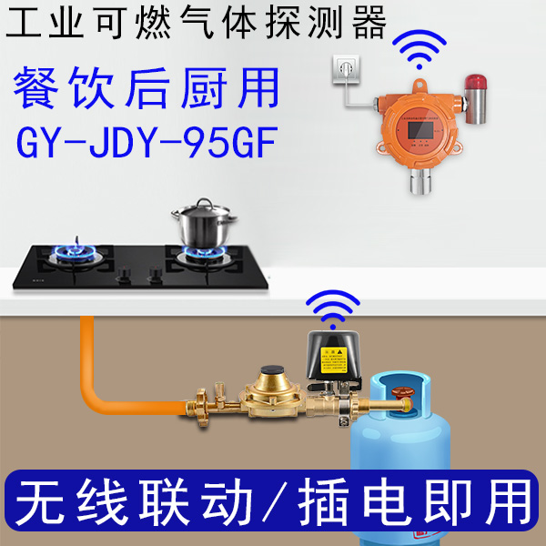 嘉德云GY-JDY-95GF可燃氣體探測器