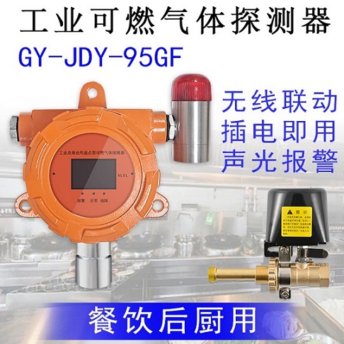 嘉德云GY-JDY-95GF可燃?xì)怏w探測器