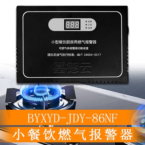 嘉德云BYXYD-JDY-86NF燃?xì)馓綔y器