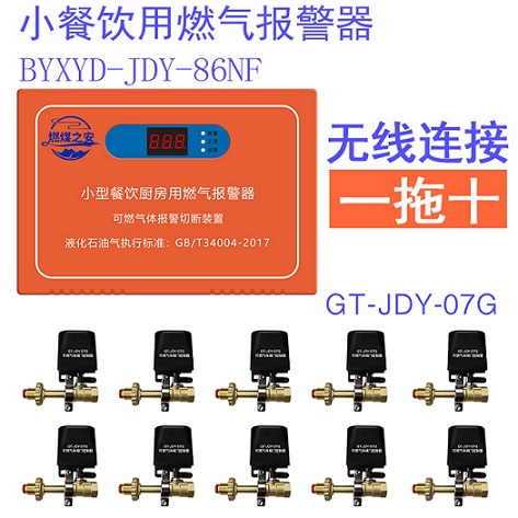 燃煤之安BYXYD-JDY-86NF燃?xì)馓綔y(cè)器