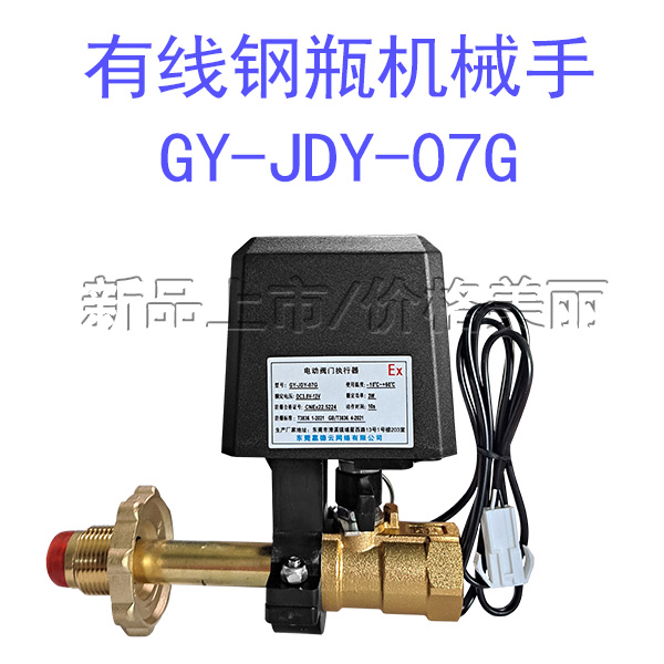 燃煤之安BYXYD-JDY-86NF燃?xì)馓綔y器