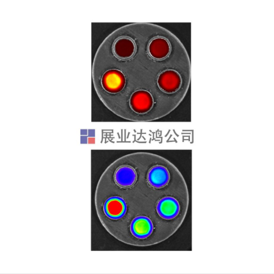Phantech光學線性模體