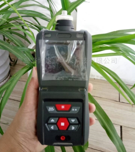 路博LB-MS5X泵吸多气体检测仪