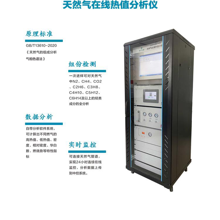 上海气谱SP-8900在线天然气分析仪