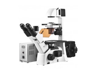 Motic麥克奧迪   AE31 EF-INV  熒光顯微鏡