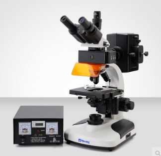 Murzider邁時迪  MSD510  熒光顯微鏡