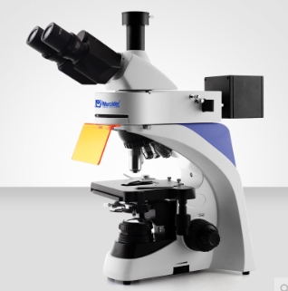 Murzider邁時迪  MSD520  熒光顯微鏡