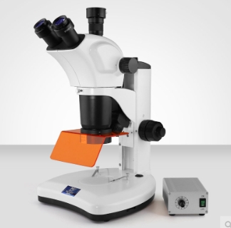 Murzider邁時迪  MSD540  熒光顯微鏡