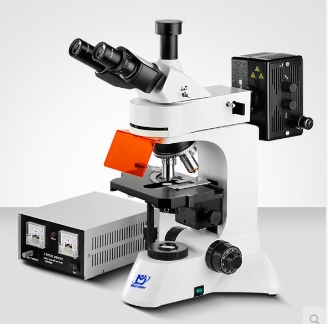 Murzider邁時迪  MSD7550  熒光顯微鏡