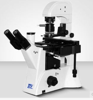 Murzider迈时迪 MSD531DIC   生物显微镜