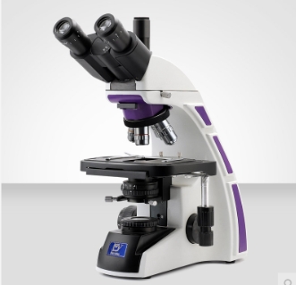 Murzider迈时迪   MSD106   生物显微镜