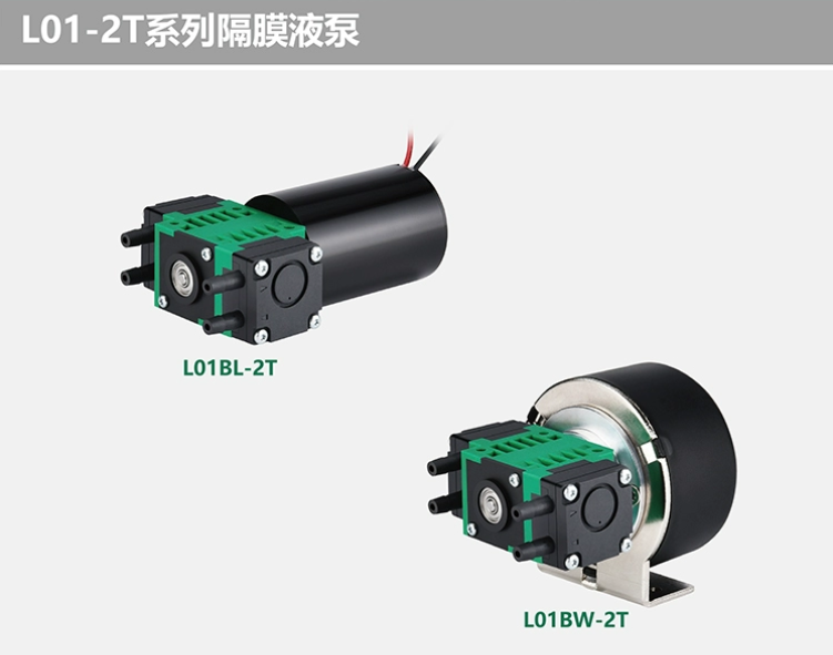 雙頭低脈動抽水泵微型真空水泵自吸熱水泵L01BL1240-2T  /  L01BL2440-2T