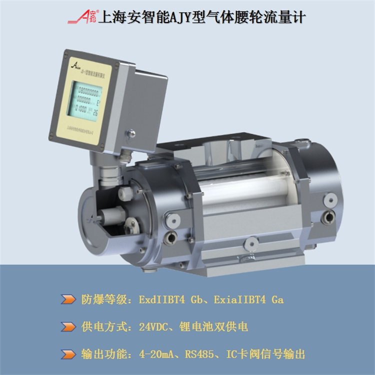 上海氣體腰輪流量計DN50