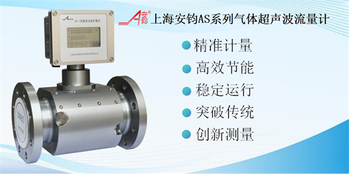 AS型氣體超聲波流量計(jì)DN40