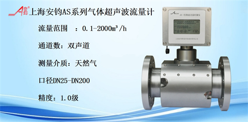 AS型氣體超聲波流量計(jì)DN50