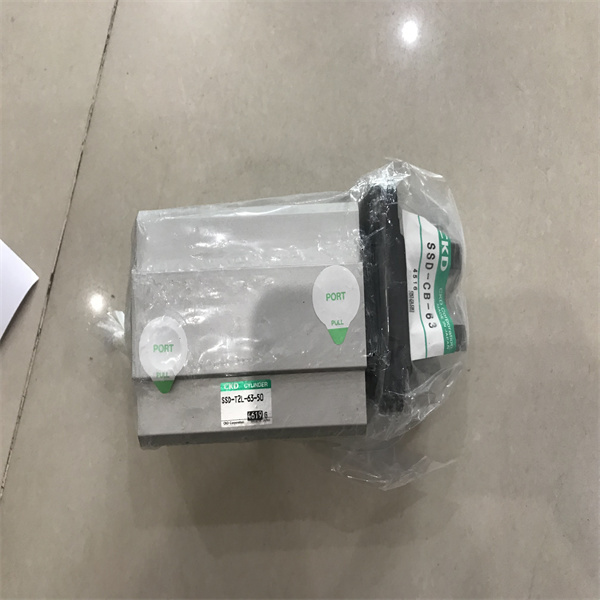 詳細(xì)說(shuō)明CKD電磁閥AB41-04-8-H2G-AC220V