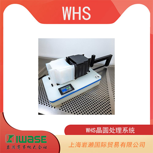 WHS晶圓處理系統(tǒng) 真空尖頭 PEEK WHS-V1-AP4BST