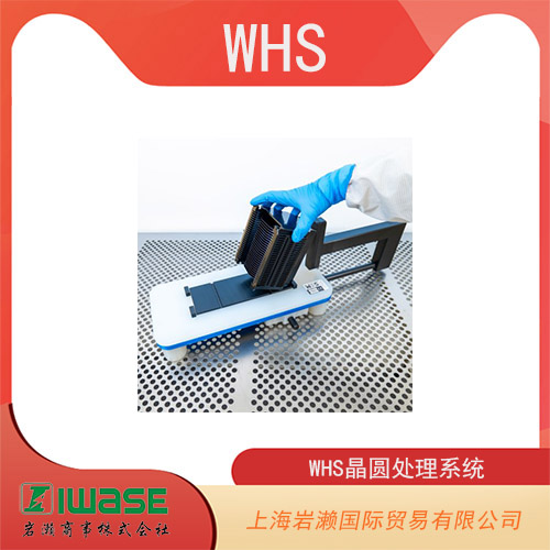 WHS晶圓處理系統(tǒng) 真空尖頭 PEEK WHS-V1-AP4BST