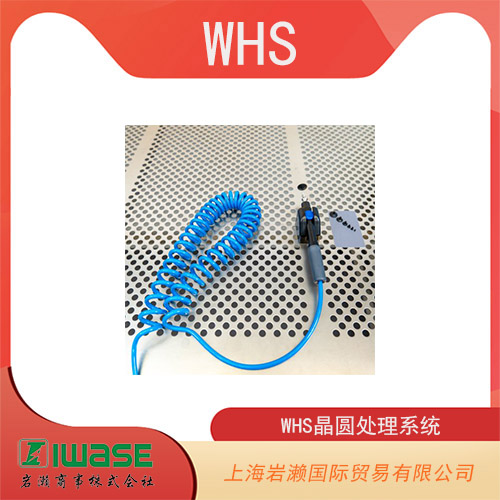 WHS晶圓處理系統(tǒng) 真空尖頭 PEEK WHS-V1-AP4BST