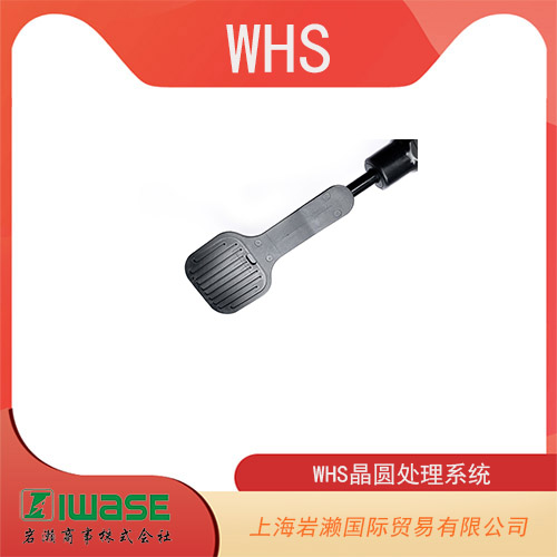 WHS晶圓處理系統(tǒng) 真空尖頭 PEEK WHS-V1-AP4BST